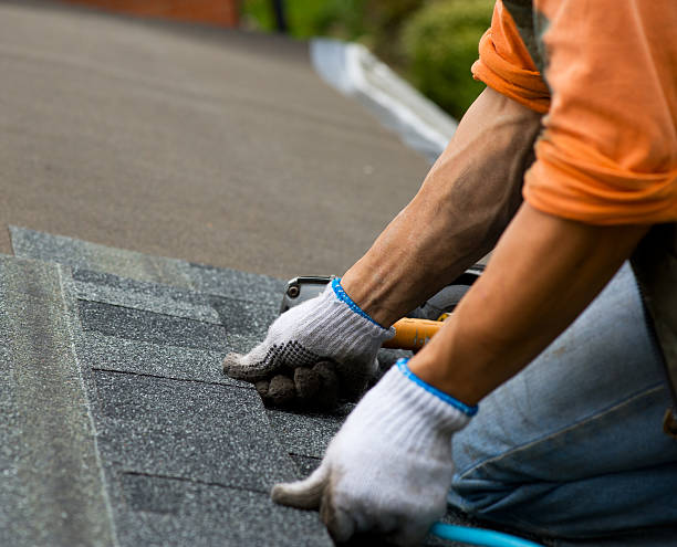 Best Storm Damage Roof Repair  in Oak Grove, LA