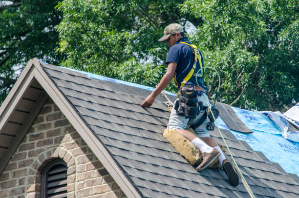 Roof Gutter Cleaning in Oak Grove, LA